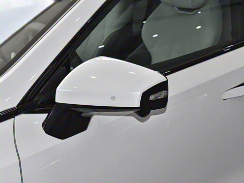 2025�� 530Max  �����Ǽ�AD PRO�����