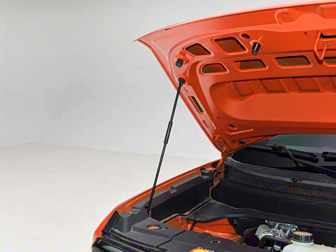 2026�� 501km�����