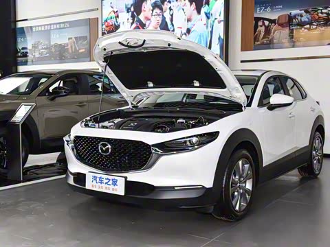 2024�� 2.0L �Զ�������