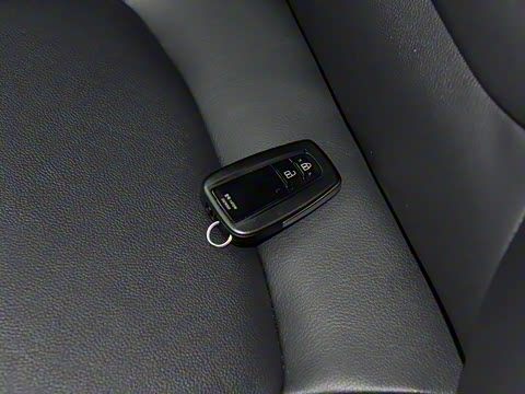 2023�� ˫�� 2.5L E-CVT������ӢPlus��