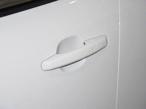 2025�� P250 R-Dynamic SE