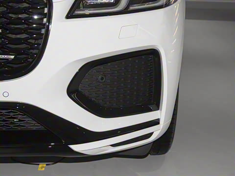 2025�� P250 R-Dynamic SE