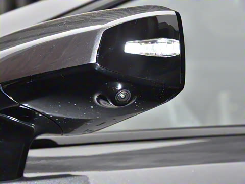 2025�� ���羫Ӣ��