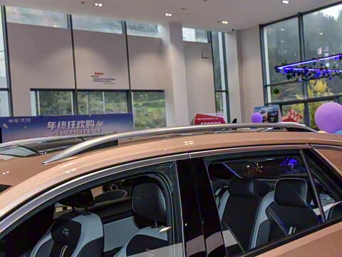 2025�� 300TSI DSG���������