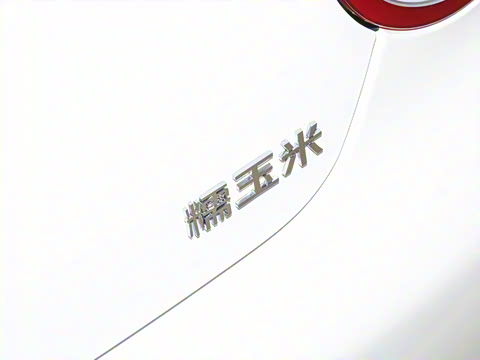 2024�� 205km ������