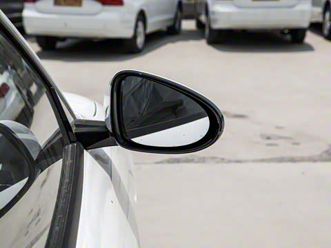 2025�� 520�ǻݰ�