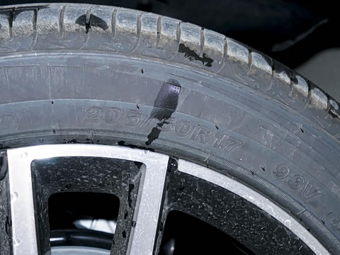 2025�� 450km ������