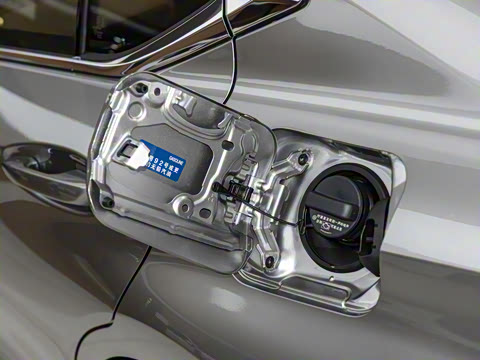 2025�� 300h ������