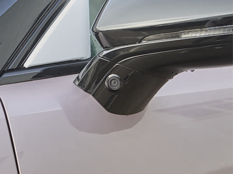 2024�� ������������