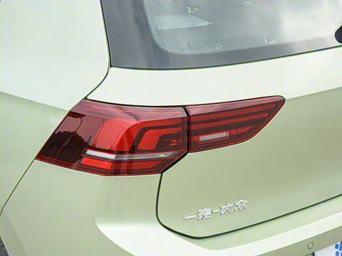 2025�� 300TSI Pro