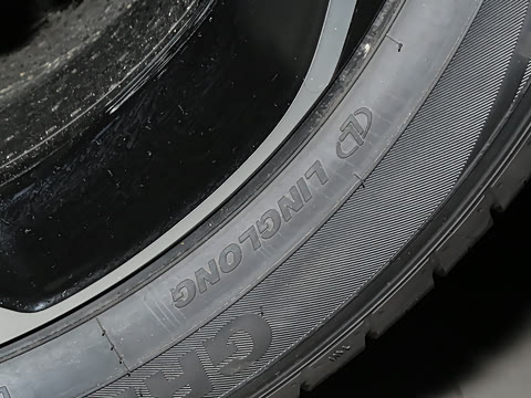 2025�� 505����Plus��