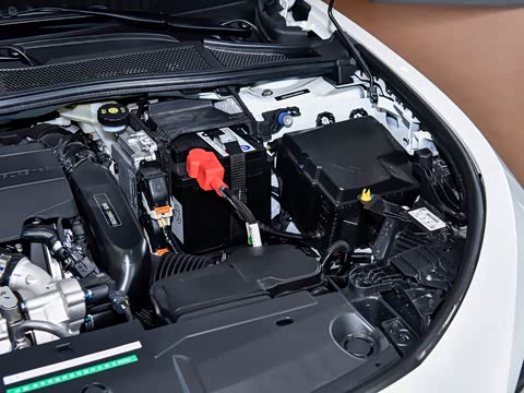 2025�� �Ŀ� RS