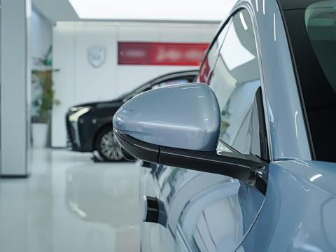 2025�� 555���˰�