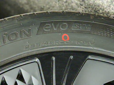 2024�� ��������������