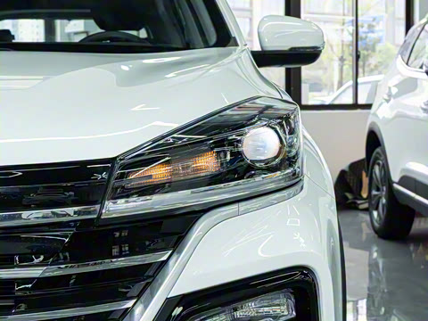 2025�� 1.5L �ֶ����ʰ�