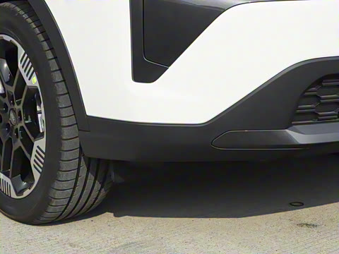 2025�� ������