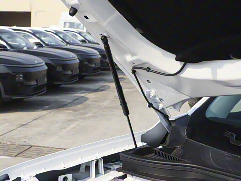 2025�� ������