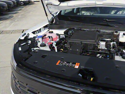 2025�� ������