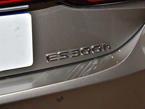 2025�� 300h ������