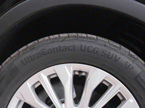 2024�� 25T ����������