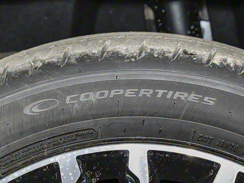 2025�� 1.5T 106KM������ 5�� �������