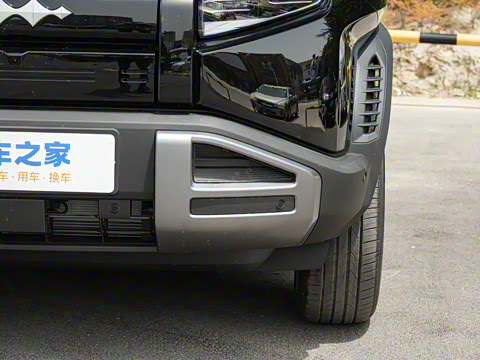 2025�� 501KM ����Max��