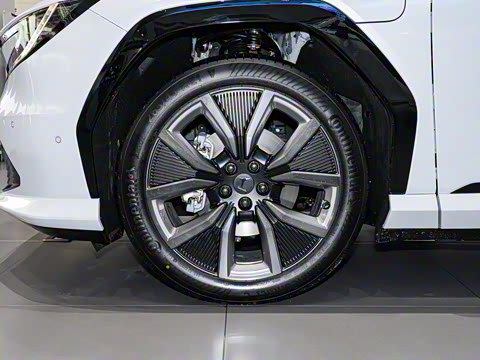 2025�� ����������Pro