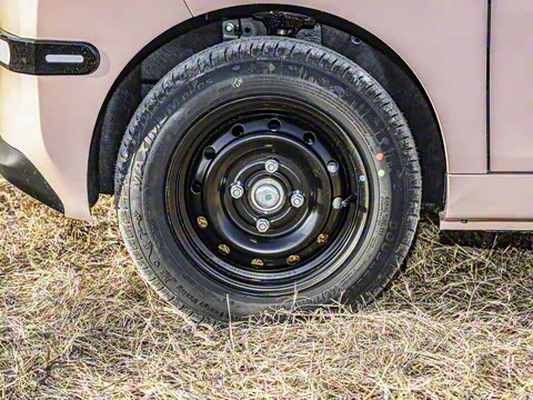 2025�� 155km ʥ����