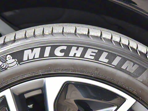 2024�� ������������