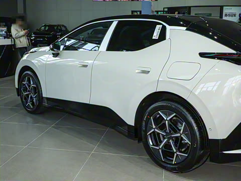 2025�� 530km ����Pro