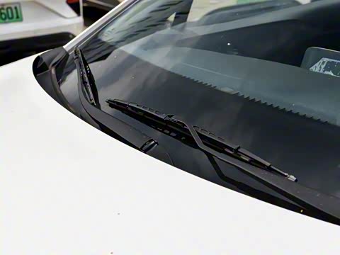 2026�� ������