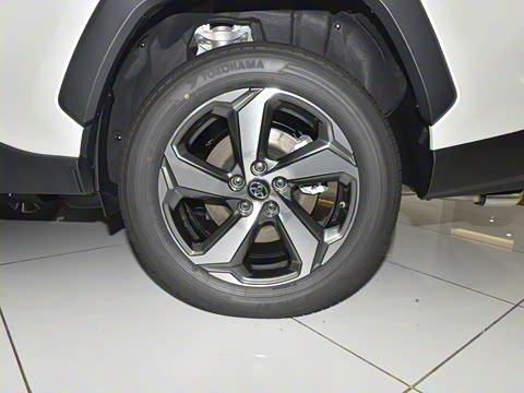 2023�� 2.5L ��������Pro