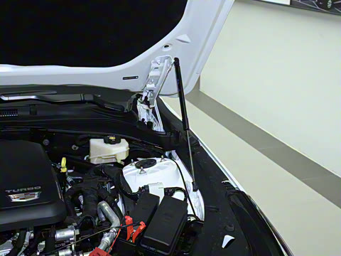 2023�� 28T ������