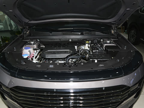 2025�� 1.5T �콢�� 7��