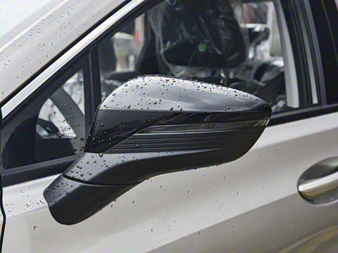 2026�� ������