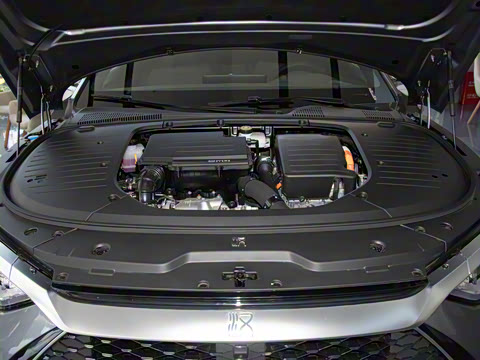 2024�� DM-i ��ҫ�� 121KM �����