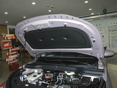 2025�� 565km ������