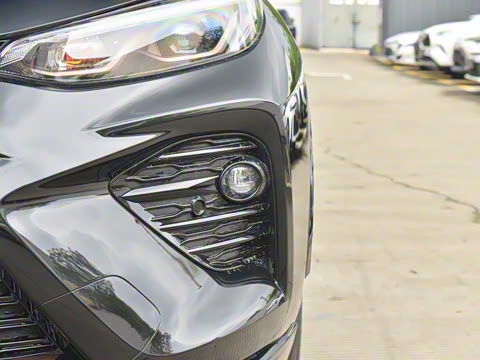 2024�� ˫�� 2.5L E-CVT��������PLUS��