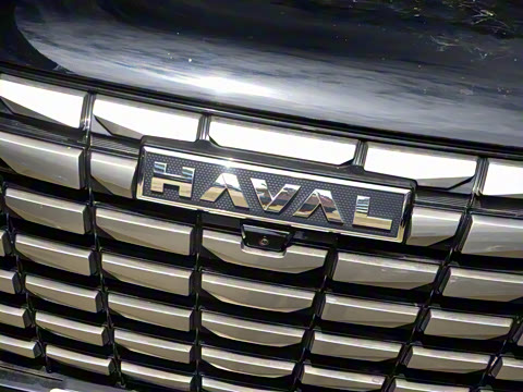 2024�� 2.0T ����Max