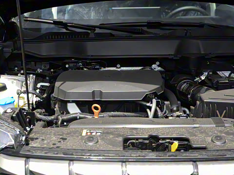 2024�� 2.0T ����Max