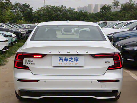 2025�� B5 �����˶���