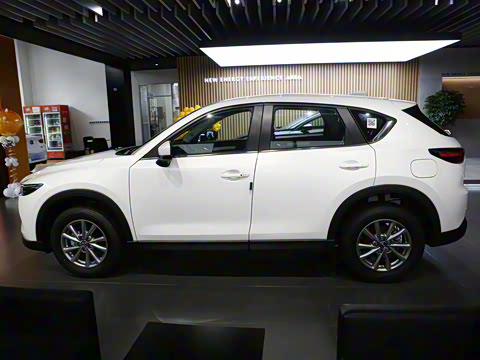 2024�� 2.0L �Զ�����������