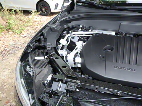 2025�� B5 ������Զ��ҹ�ڰ�