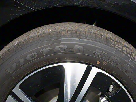 2025�� �������Ȱ�