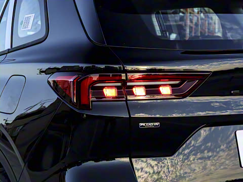 2025�� ������