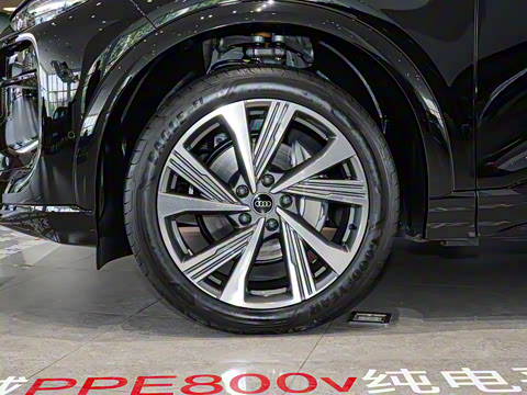 2026�� ����������