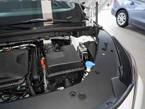 2024�� 135�콢��