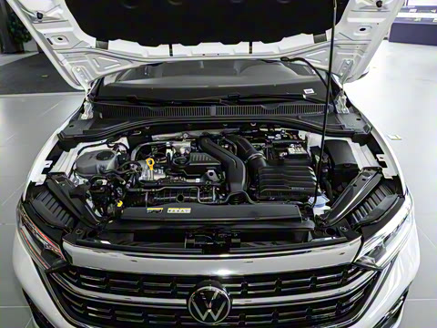 2024�� 300TSI DSG��Խ��