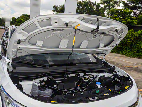 2024�� ������������