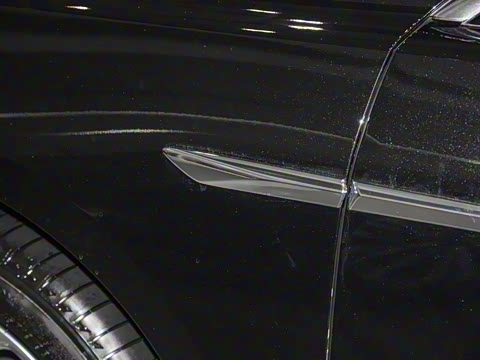 2025�� �׽�ά�ǰ�